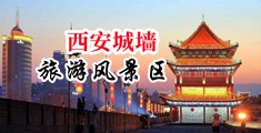 黑鸡巴操逼视频中国陕西-西安城墙旅游风景区