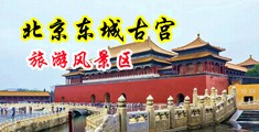 粉嫩的骚逼12p中国北京-东城古宫旅游风景区